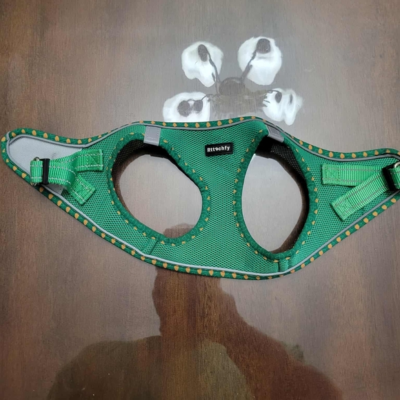 Green Dog Collar with Frog Design - Picture 1 of 2